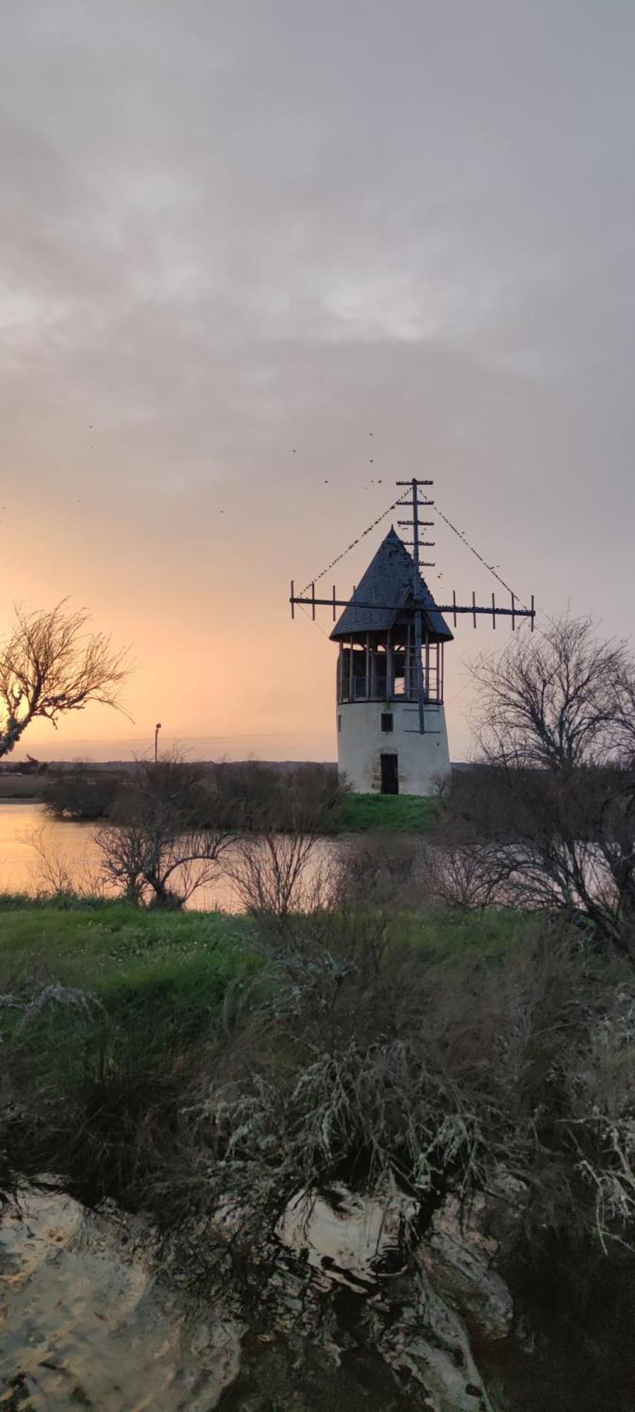 Les Oliviers Apartamento L'Ile-d'Olonne Exterior foto
