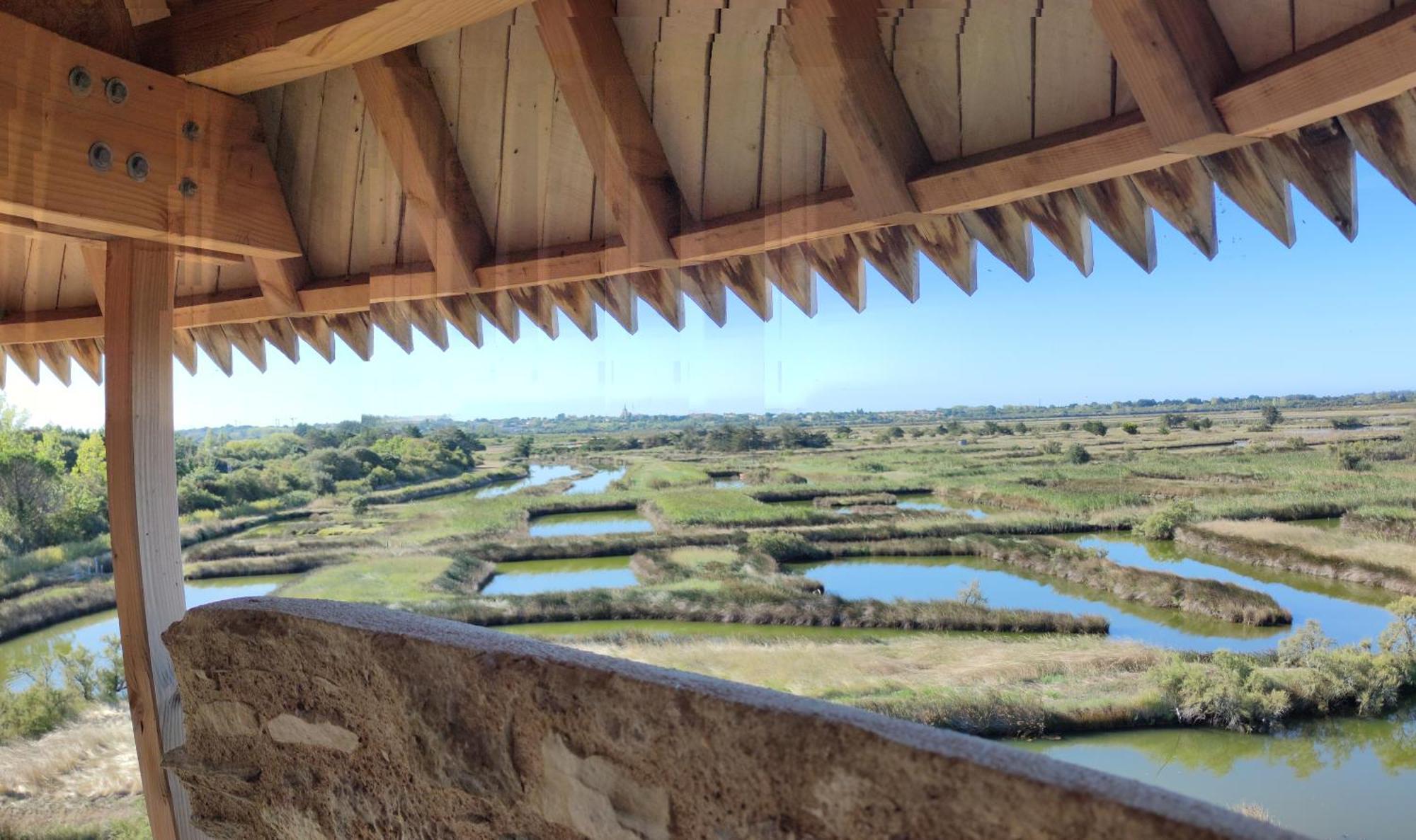 Les Oliviers Apartamento L'Ile-d'Olonne Exterior foto